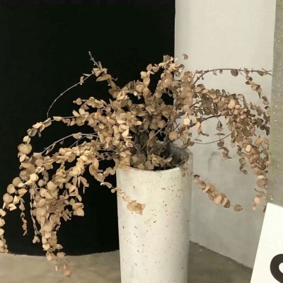 Furry插画风格探索福瑞交流群